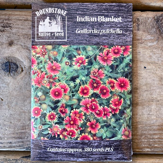 Seed Gaillardia pulchella/ Indian Blanket - Roundstone Native (TN)