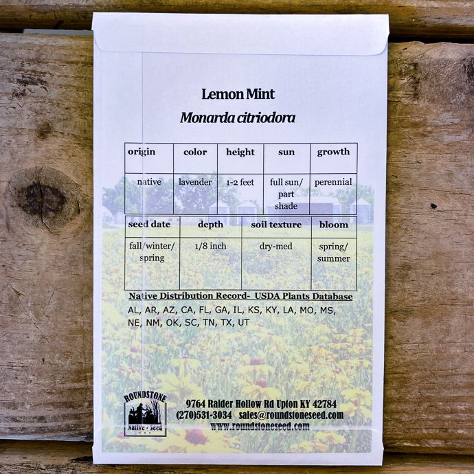 Seed Monarda citriodora/ Lemon Mint - Roundstone Native (TN)