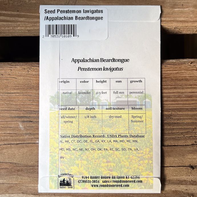 Seed Penstemon lavigatus/ Appalachian Beardtongue - Roundstone Native (TN)