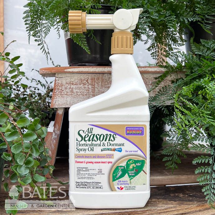 All Seasons Horticultural &amp; Dormant Oil Spray 1Qt RTS Insecticide Bonide