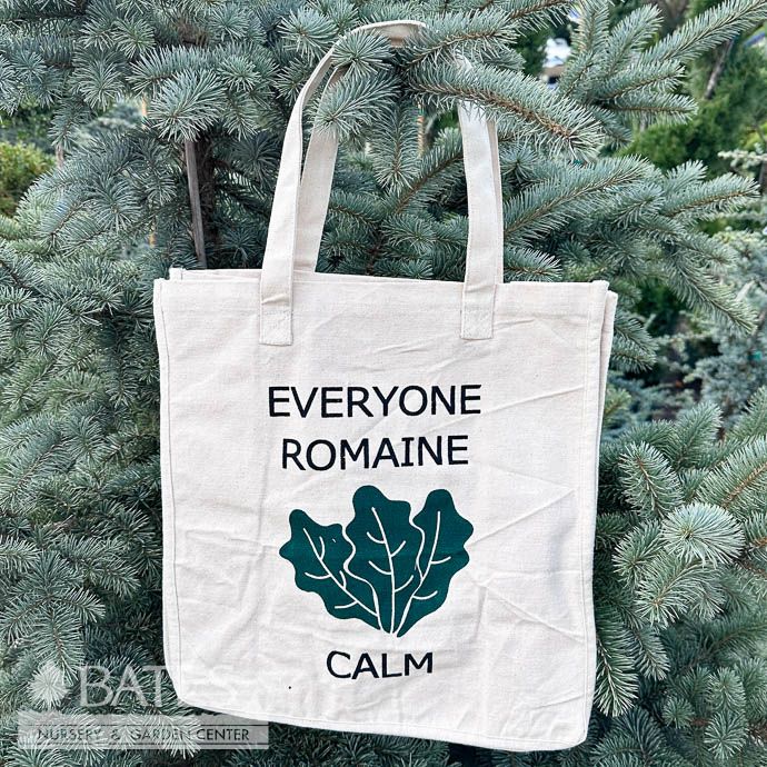 Cloth Tote Bag 14x7 - Romaine Calm