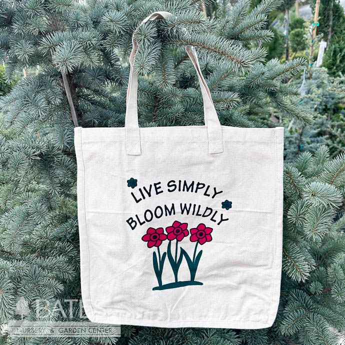 Cloth Tote Bag 14x7 - Live Simply