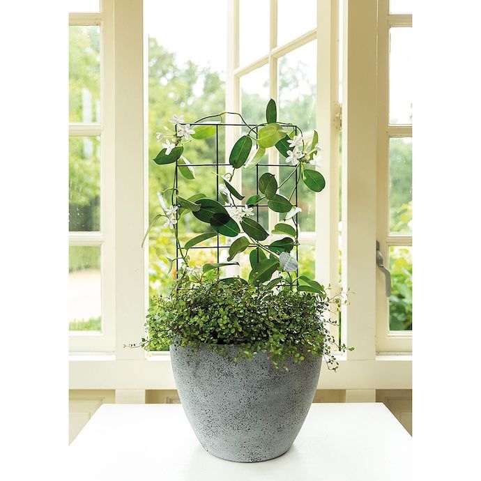 Pot Trellis Vario Med 11.8x27.5 Rectangle-Shape Green