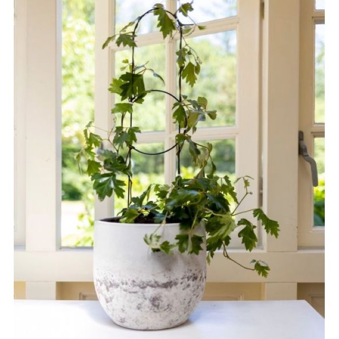 Pot Trellis Deco Hoop &amp; Circle Med  5.5x35 Green