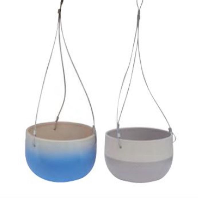 Pot Hanging Morris 2-Tone w/Wire Hanger 6x4 Asst