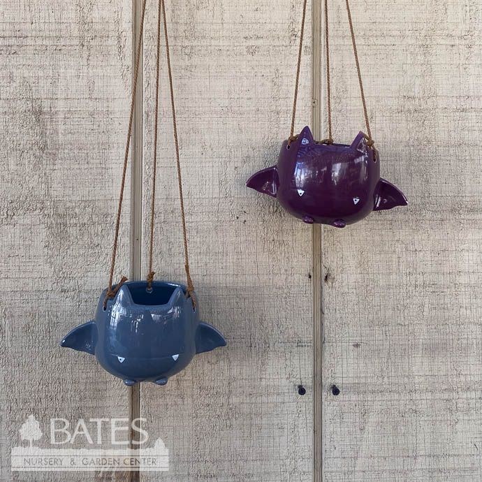 Pot 4&quot; Bat Hanging Basket Fang Von Batula  Asst