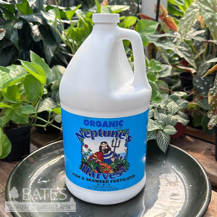 1Gal Organic Fish &amp; Seaweed 2-3-1 Fertilizer Neptune&#39;s Harvest
