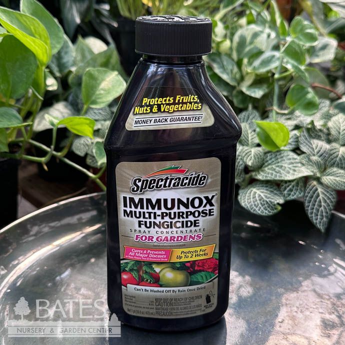 16oz Immunox Concentrate Multi-Purpose Fungicide