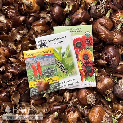 Bulbs &amp; Seeds