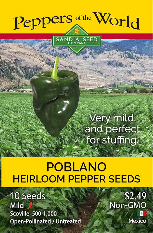 Seed Pepper Poblano Organic - Capsicum annuum