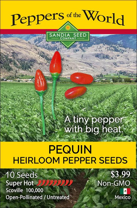 Seed Pepper Pequin aka Bird Pepper Heirloom - Capsicum annuum
