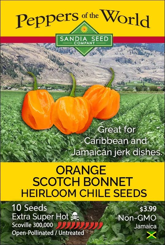 Seed Pepper Scotch Bonnet Orange Heirloom - Capsicum chinense
