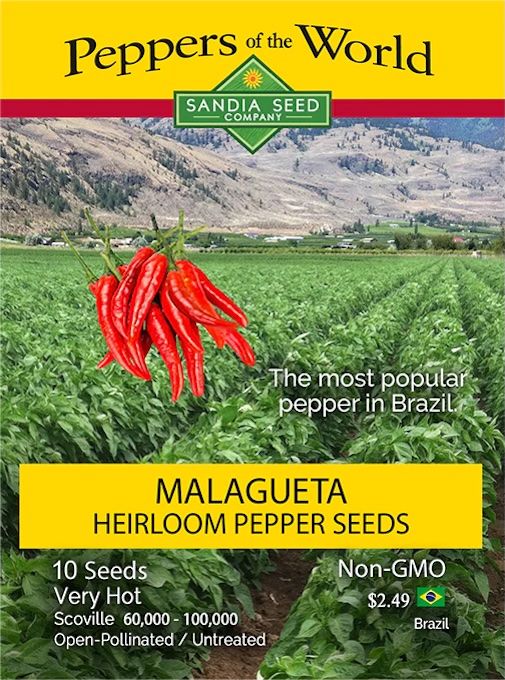 Seed Pepper Malagueta Heirloom - Capsicum frutescens