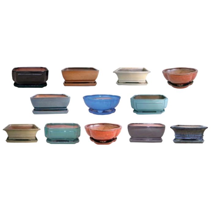 Pot Bonsai Pot w/Saucer Professional Med 8.5x6.5.3.5 Asst