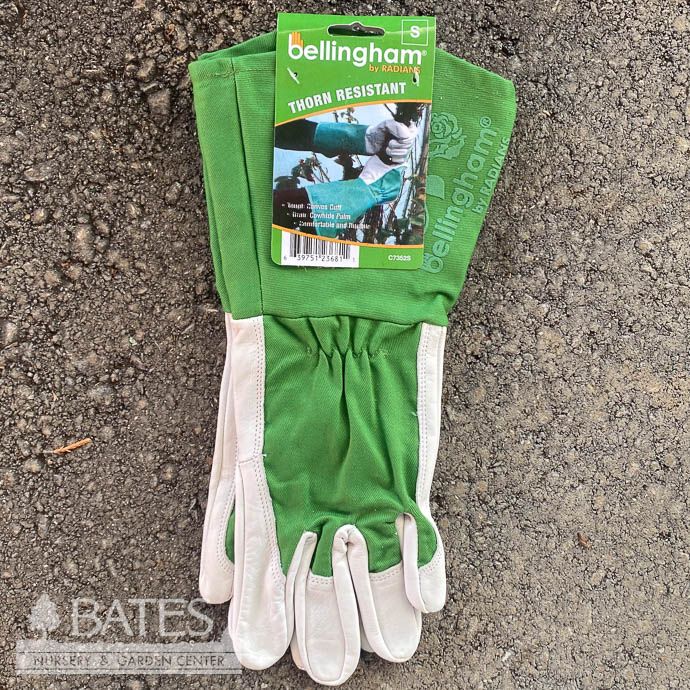 Gloves Thorn Resistant Gauntlet Glove Sml Green