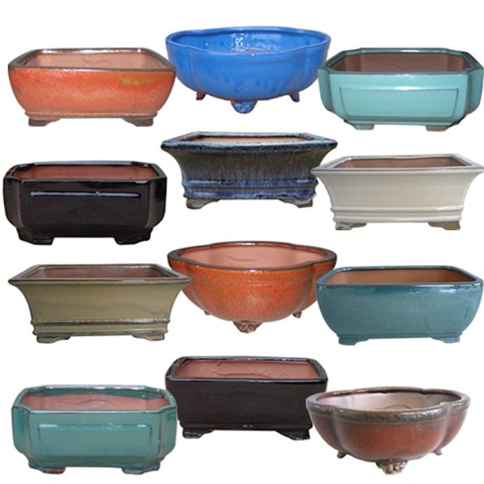 Pot Bonsai Pot w/Saucer Professional Med 8.5x6.5.3.5 Asst