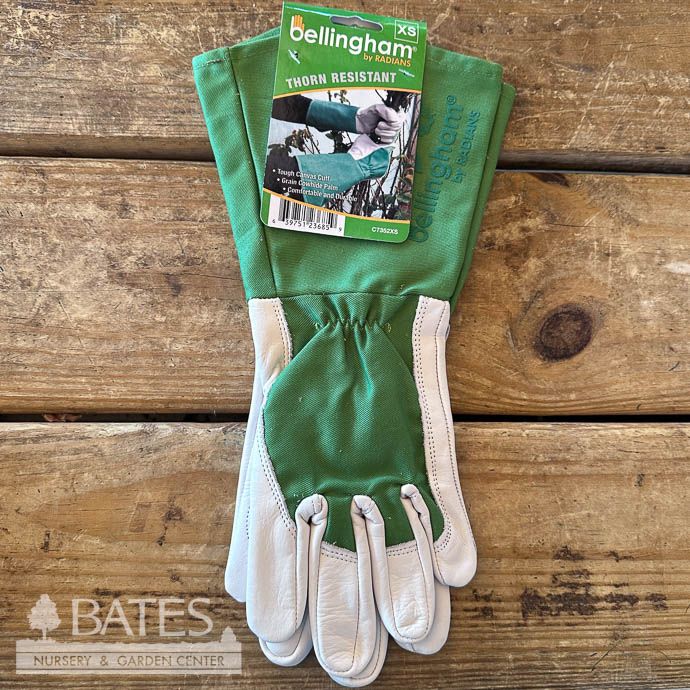 Gloves Thorn Resistant Gauntlet Glove Xsm Green