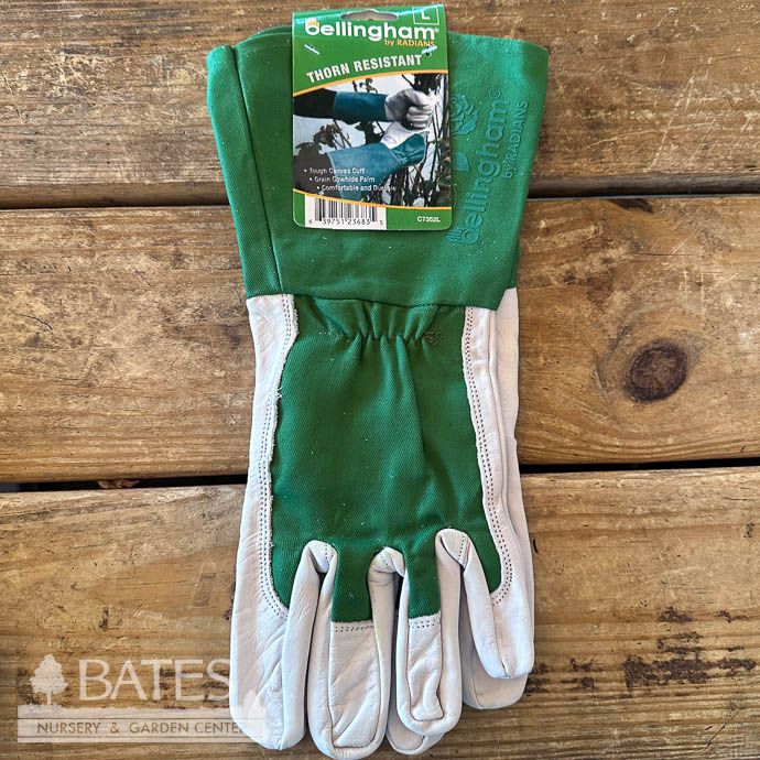 Gloves Thorn Resistant Gauntlet Glove Lrg Green