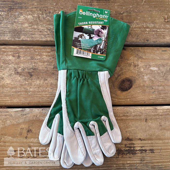 Gloves Thorn Resistant Gauntlet Glove Med Green