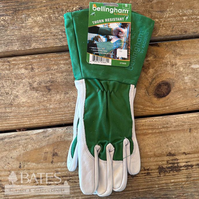 Gloves Thorn Resistant Gauntlet Glove Sml Green