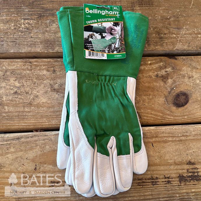 Gloves Thorn Resistant Gauntlet Glove Xlg Green