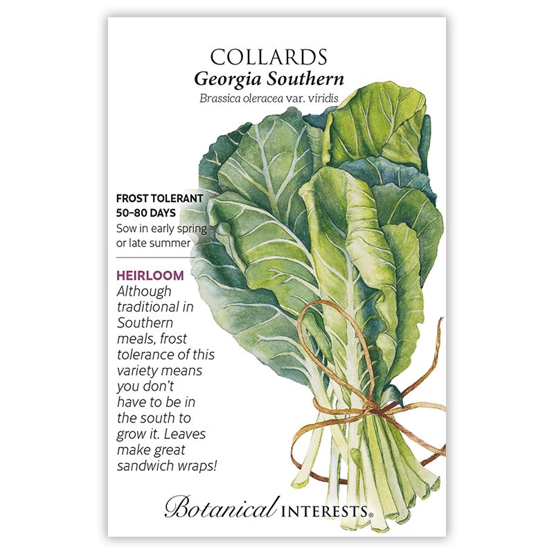 Seed Veg Collards Georgia Southern Heirloom - Brassica oleracea