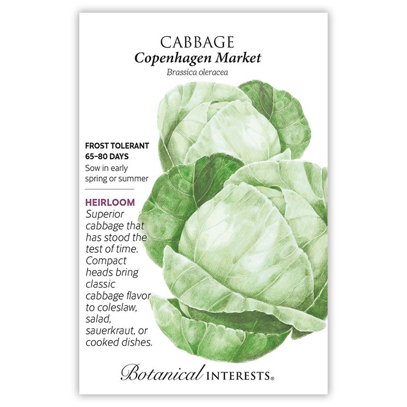 Seed Veg Cabbage Copenhagen Market Heirloom - Brassica oleracea