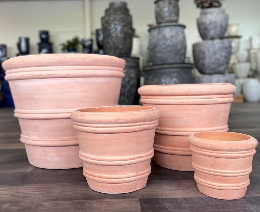 Pot Classic Rolled Rim Med 11x10 Antq or Reg Terracotta
