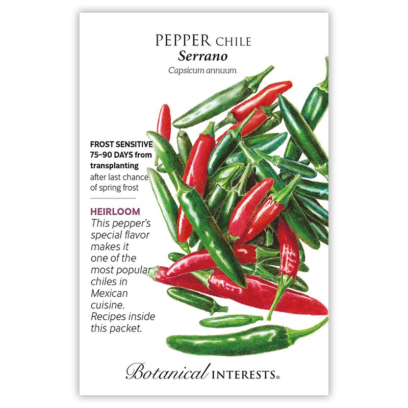 Seed Veg Pepper Chile Serrano Heirloom - Capsicum annuum