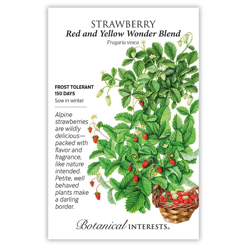 Seed Veg Strawberry Red and Yellow Wonder - Fragaria vesca