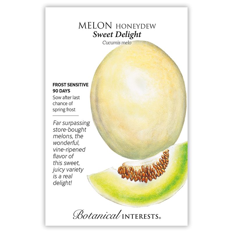 Seed Veg Melon Honeydew Sweet Delight - Cucumis melo