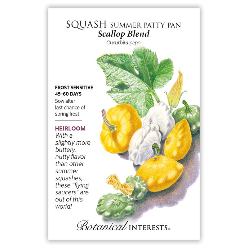 Seed Veg Squash Summer Patty Pan Scallop Blend Heirloom - Cucurbita pepo