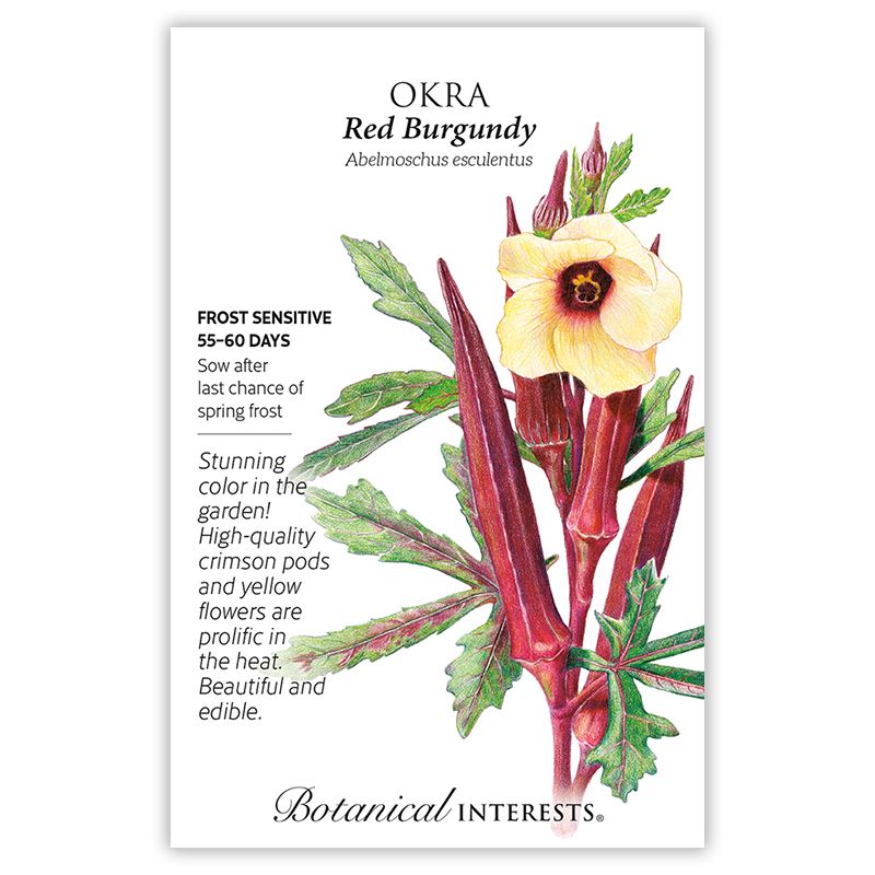 Seed Veg Okra Red Burgundy - Abelmoschus esculentus