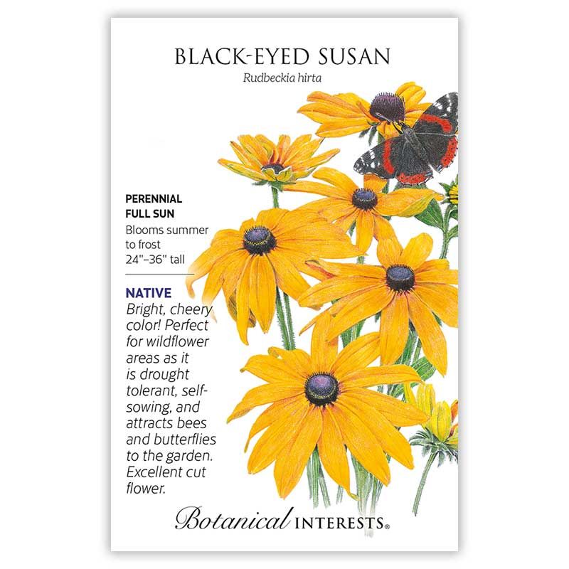 Seed Flwr Black-Eyed Susan Heirloom Native - Rudbeckia hirta Native (TN)