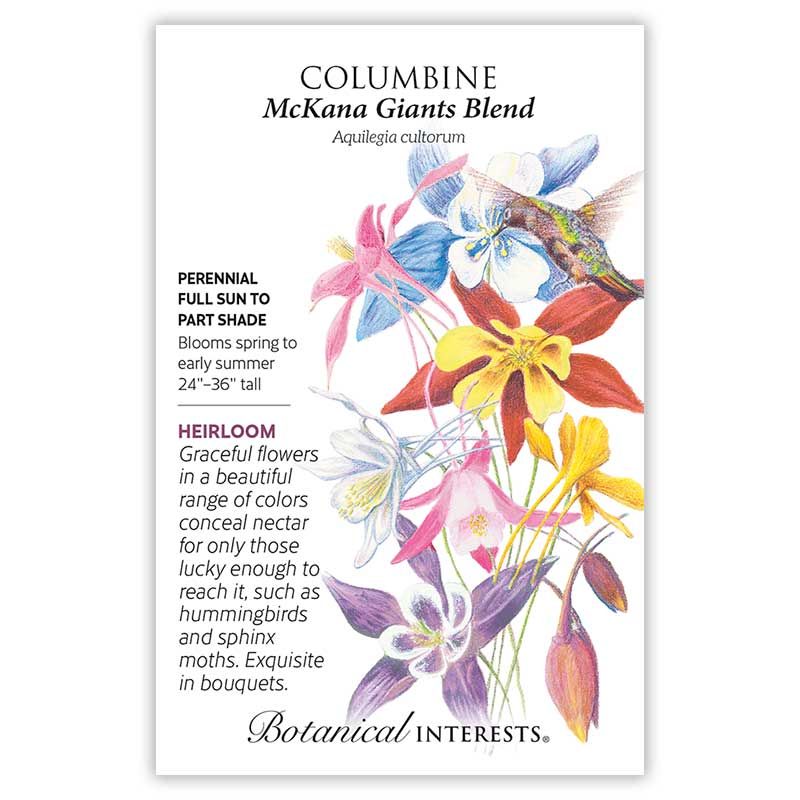 Seed Flwr Columbine McKana Giants Blend Heirloom - Aquilegia cultorum