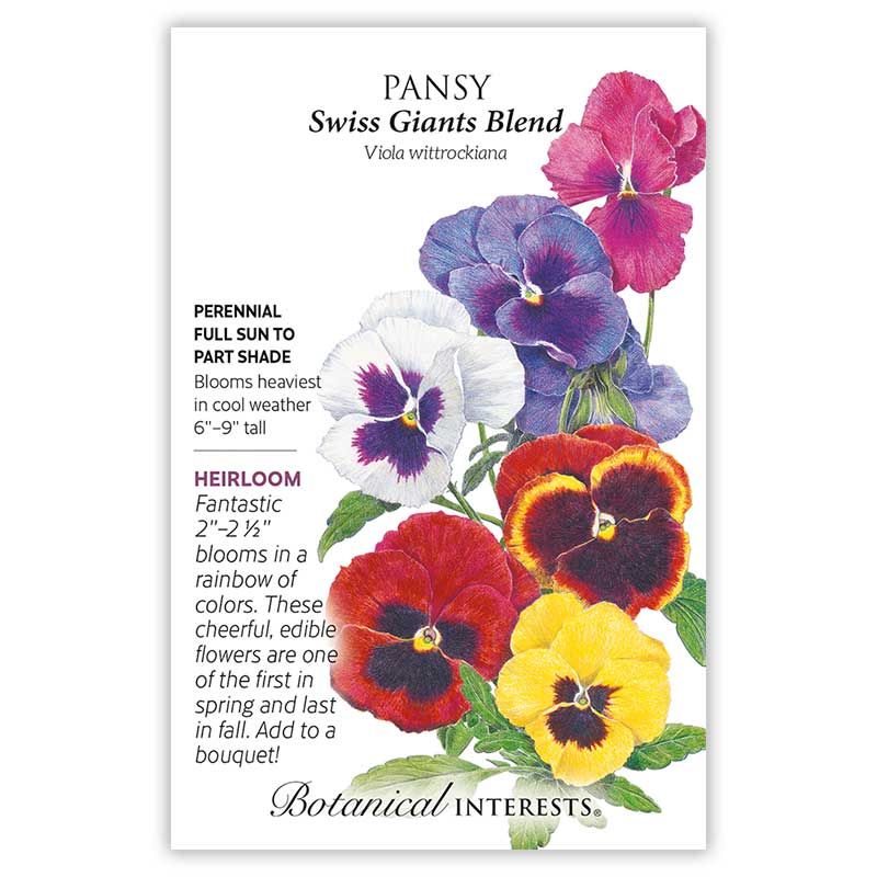 Seed Flwr Pansy Swiss Giant Blend Heirloom - Viola wittrockiana