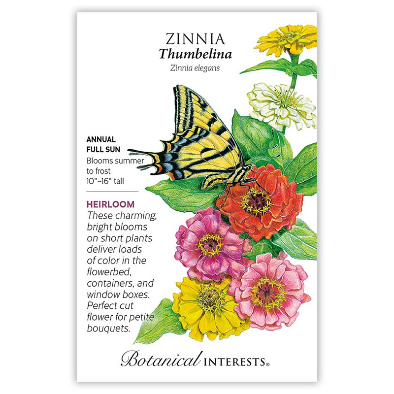 Seed Flwr Zinnia Thumbelina Heirloom - Zinnia elegans
