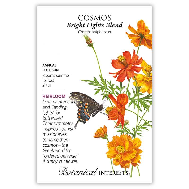 Seed Flwr Cosmos Bright Lights Blend Heirloom - Cosmos sulphureus