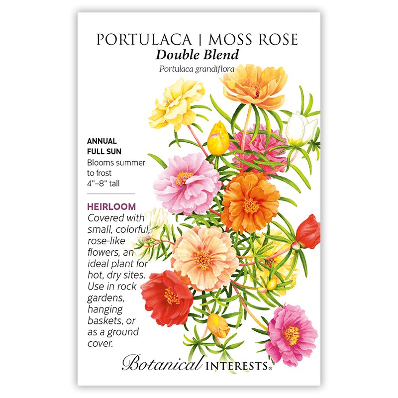 Seed Flwr Portulaca Moss Rose Double Blend Heirloom - Portulaca grandiflora