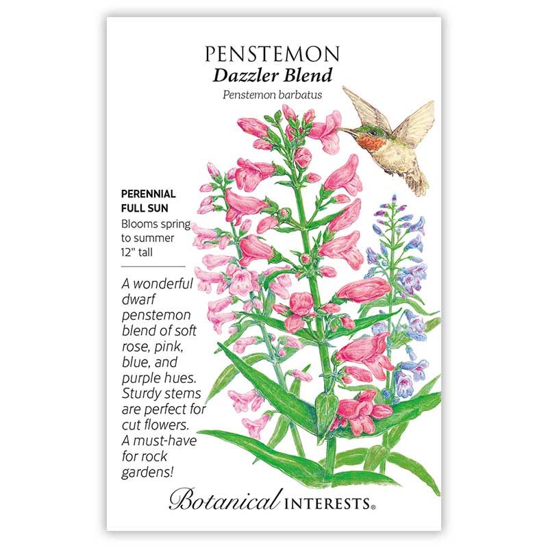 Seed Flwr Penstemon barbatus Dazzler Blend