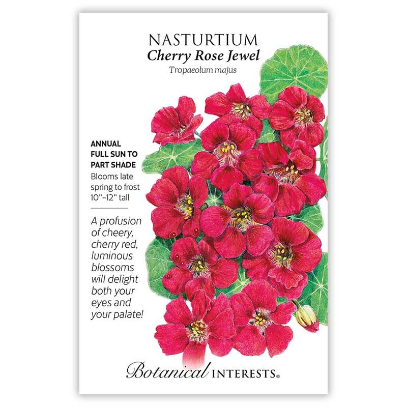 Seed Flwr Nasturtium Cherry Rose Jewel - Tropaeolum majus