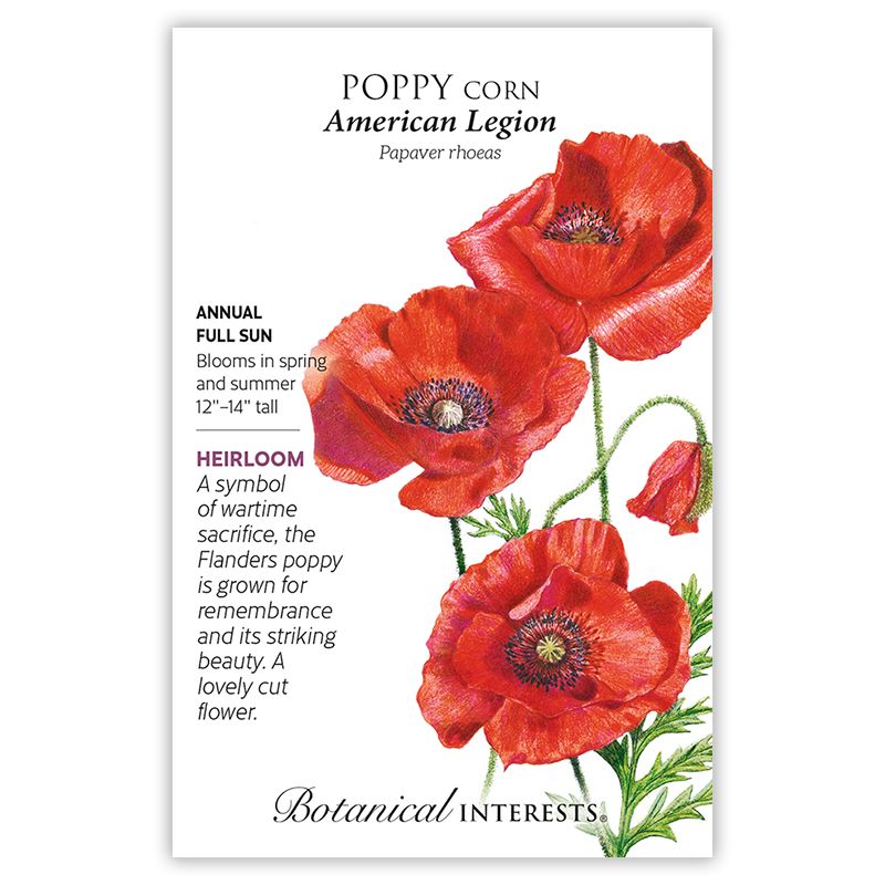 Seed Flwr Poppy Flanders/Corn American Legion Heirloom - Papaver rhoeas