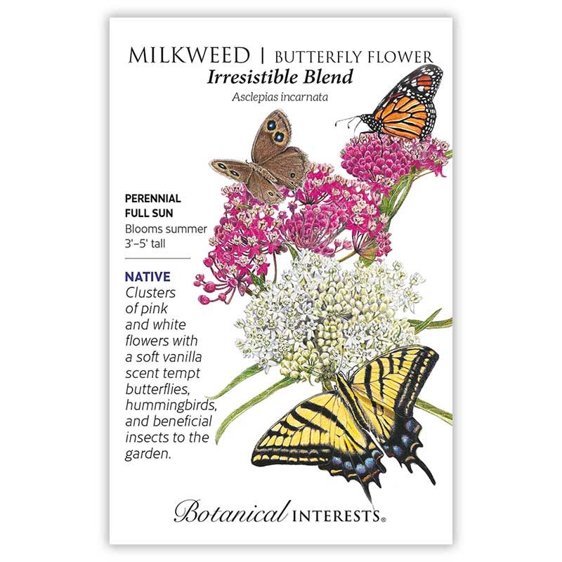 Seed Flwr Milkweed Butterfly Flower Irresistable Blend Heirloom Native (TN) - Asclepias incarnata