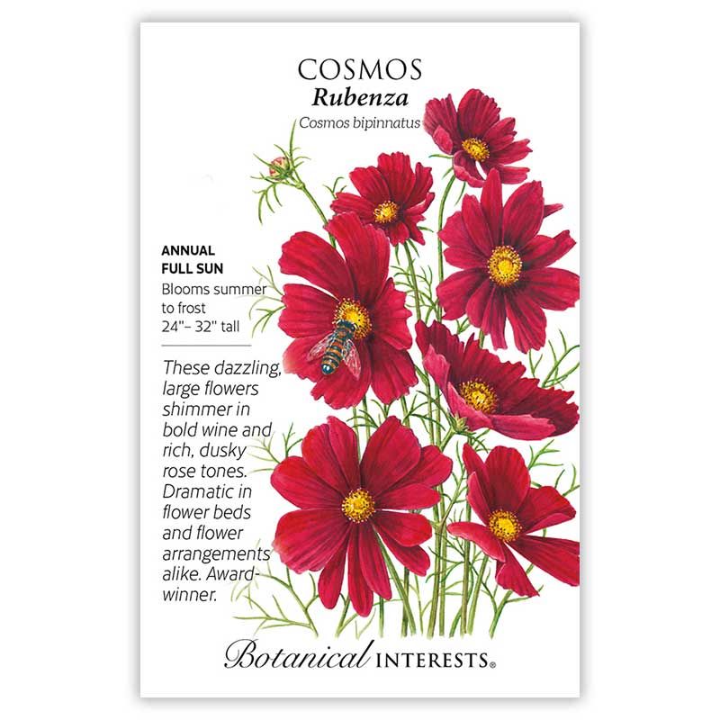 Seed Flwr Cosmos Rubenza - Cosmos bipinnatus