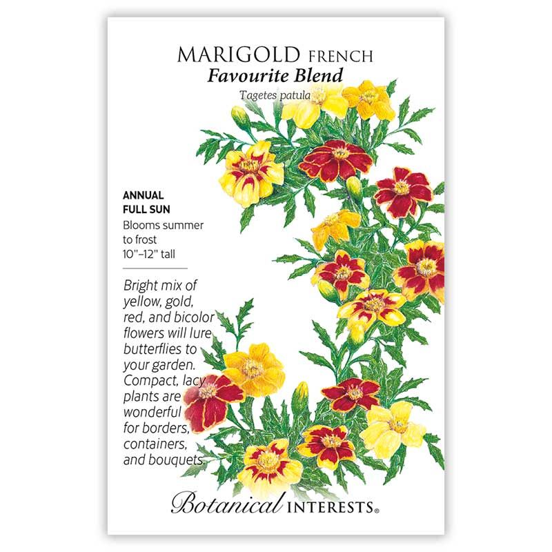 Seed Flwr Marigold French Favourite Blend - Tagetes patula