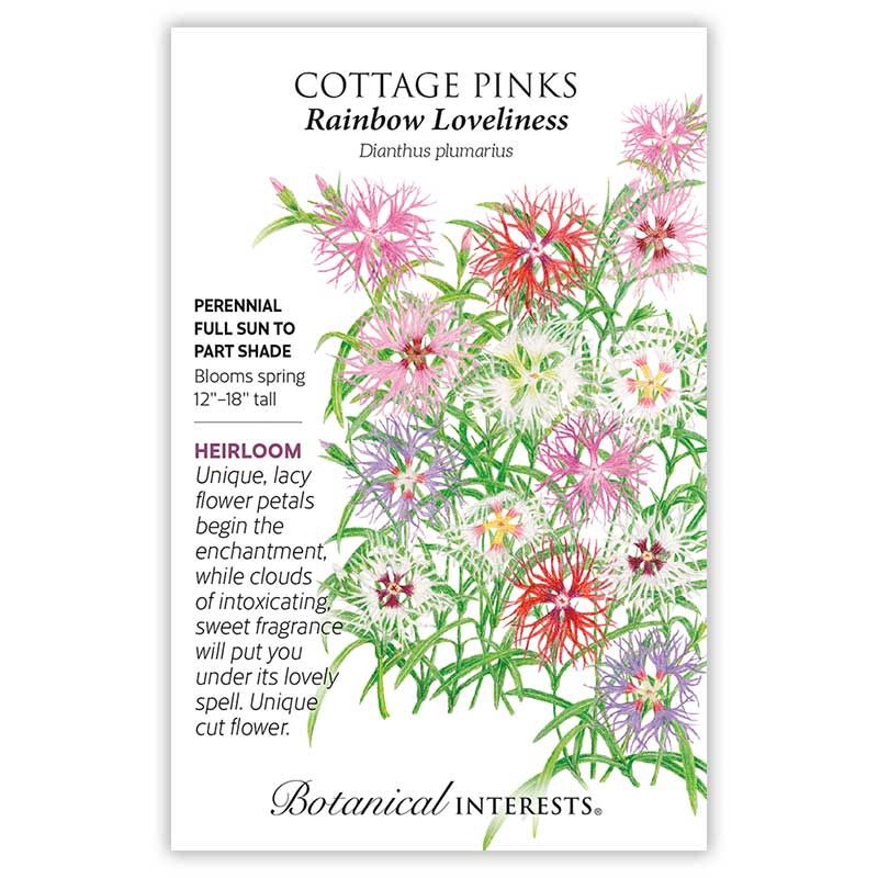 Seed Flwr Cottage Pinks Rainbow Loveliness - Dianthus plumarius
