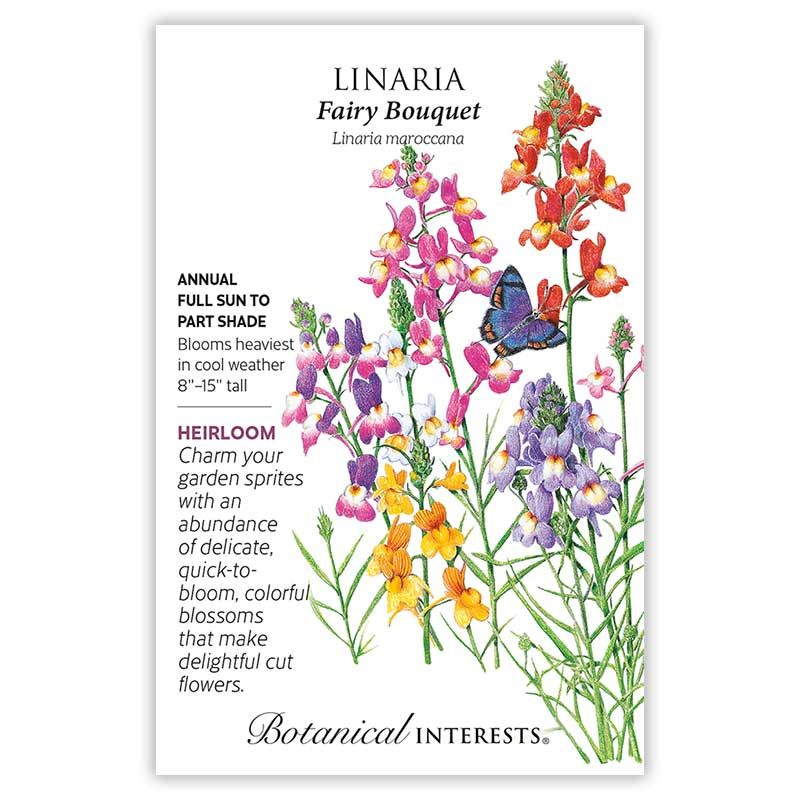 Seed Flwr Linaria Fairy Bouquet Heirloom - Linaria maroccana