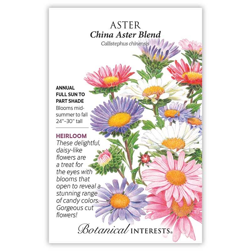 Seed Flwr Aster China Blend Heirloom - Callistephus chinensis
