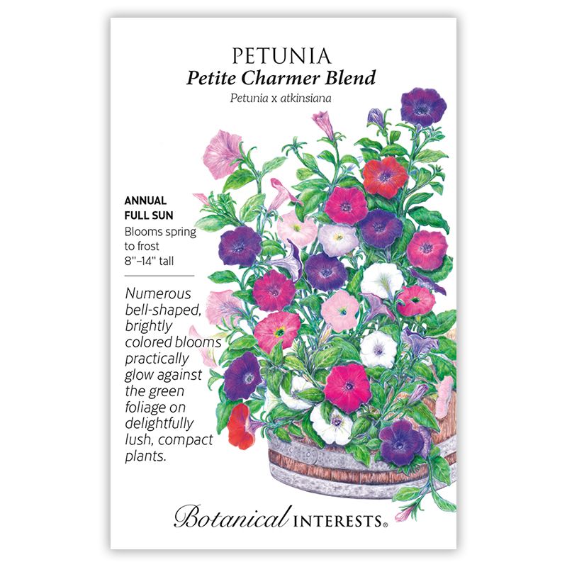 Seed Flwr Petunia Petite Charmer Blend - Petunia x atkinsiana
