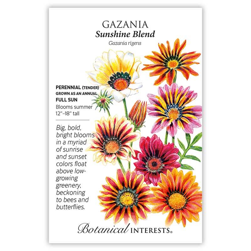 Seed Flwr Gazania Sunshine Blend - Gazania rigens